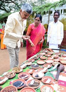 Chief Minister Chandrababu Naidu Emphasizes Tribal Progress as Key to State Development