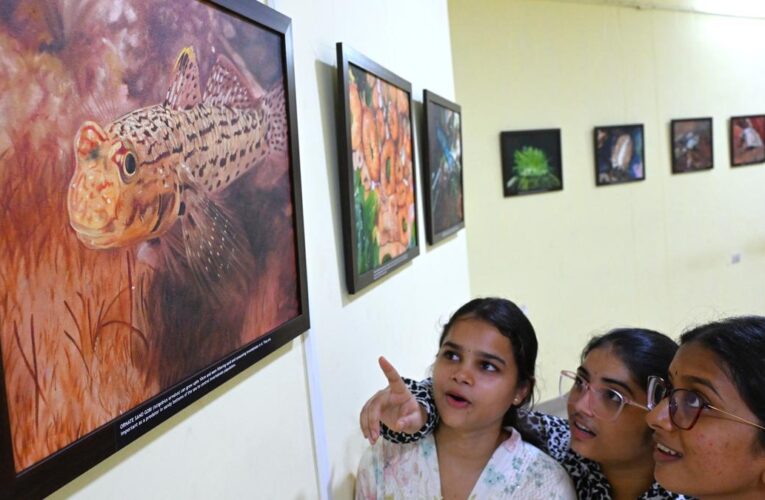 Visakha Museum Hosts ‘Intertidal Wonders’ Celebrating Coastal Ecosystems