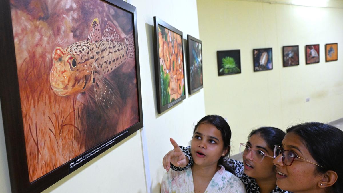 Visakha Museum Hosts ‘Intertidal Wonders’ Celebrating Coastal Ecosystems