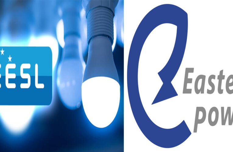 EESL, APEPDCL join hands to boost clean energy, rural power network