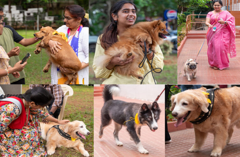 Variety of Pets Bring Warmth and Joy to GITAM Campus