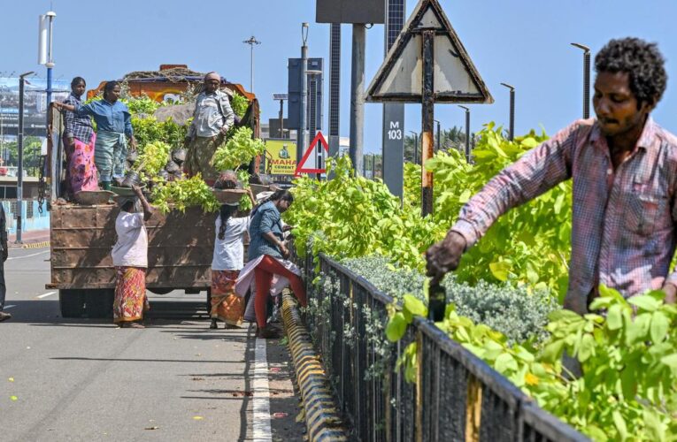 Visakhapatnam Gears Up for CII Summit with City Makeover