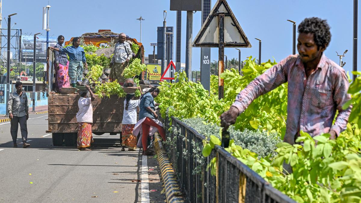 Visakhapatnam Gears Up for CII Summit with City Makeover