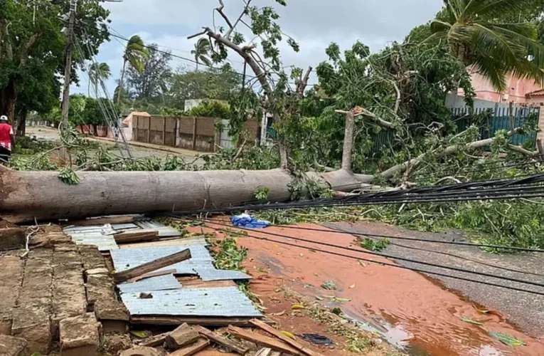 Cyclone Montha lays bare fragile green cover in north Andhra