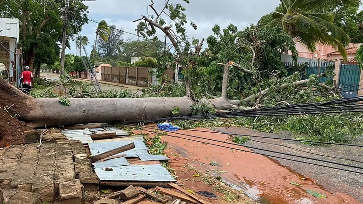 Cyclone Montha lays bare fragile green cover in north Andhra