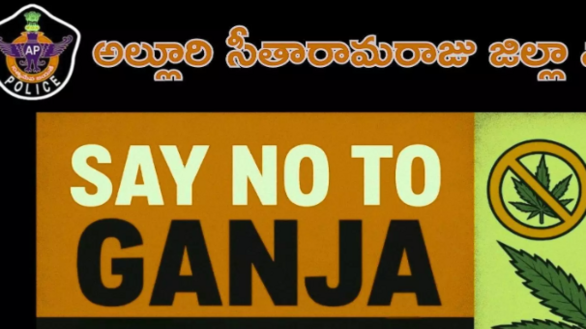 From ganja to legal crops in ASR district