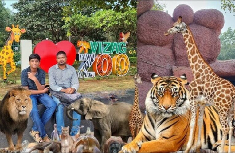 Visakhapatnam Zoo, Kambalakonda Sanctuary to Get Major Upgrade