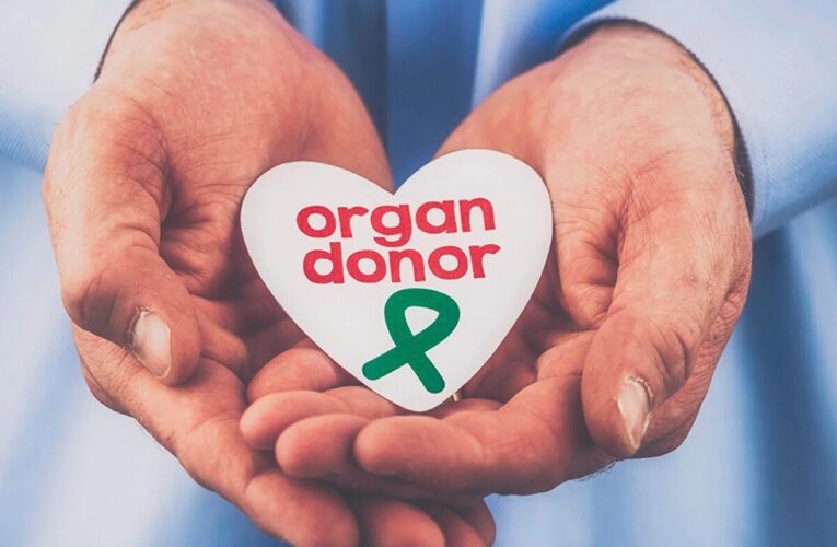 Andhra Pradesh sets national benchmark in organ donation