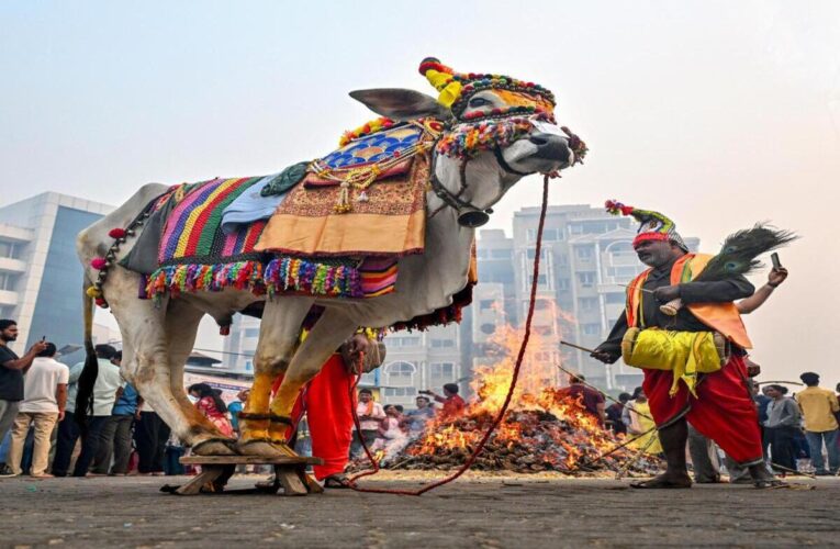Eco-friendly Bhogi lights up Vizag Beach Road