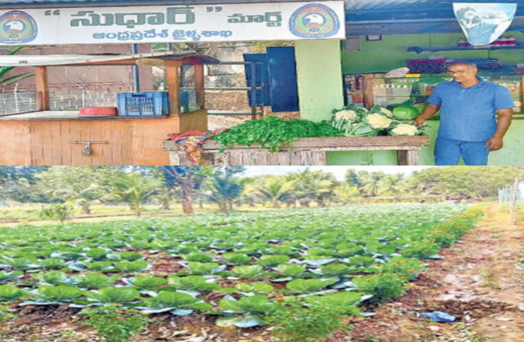 Organic farming at Visakhapatnam Central Jail aids inmate reform