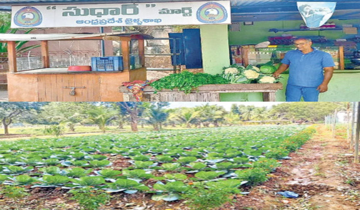 Organic farming at Visakhapatnam Central Jail aids inmate reform
