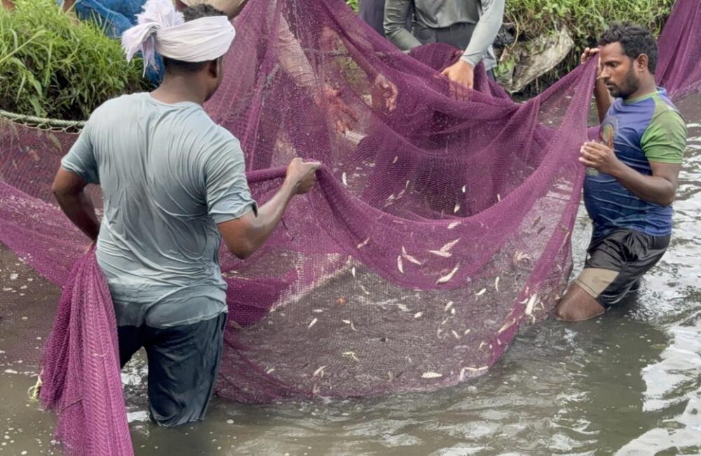 U.S. Tariff Cut Brings Relief to AP Seafood Exporters