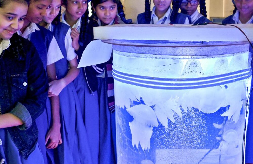 CMFRI open house brings marine science closer to students