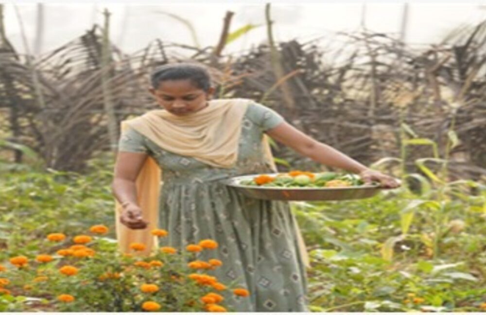 Health, soil, and a quiet revolution in Santapalli