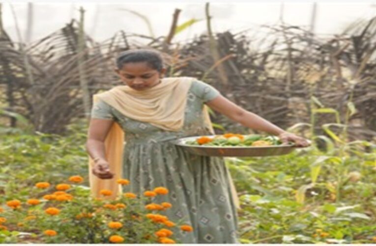 Health, soil, and a quiet revolution in Santapalli