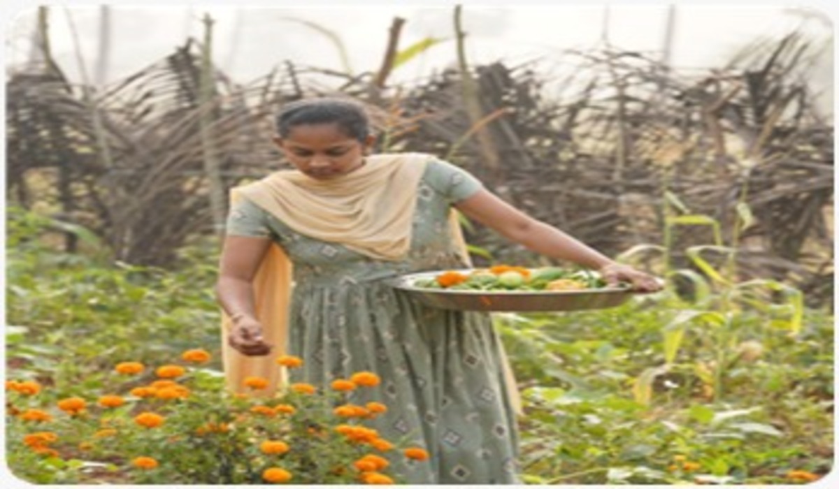 Health, soil, and a quiet revolution in Santapalli