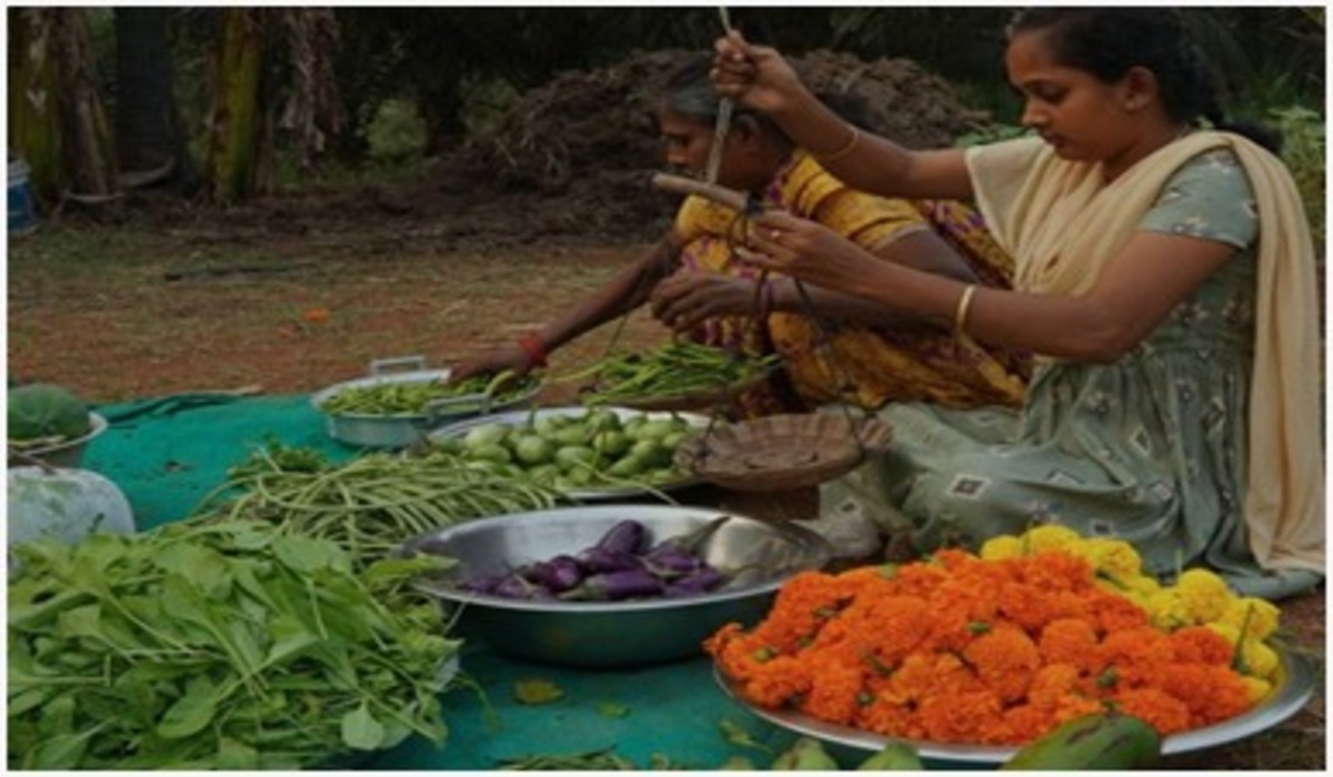 Health, soil, and a quiet revolution in Santapalli
