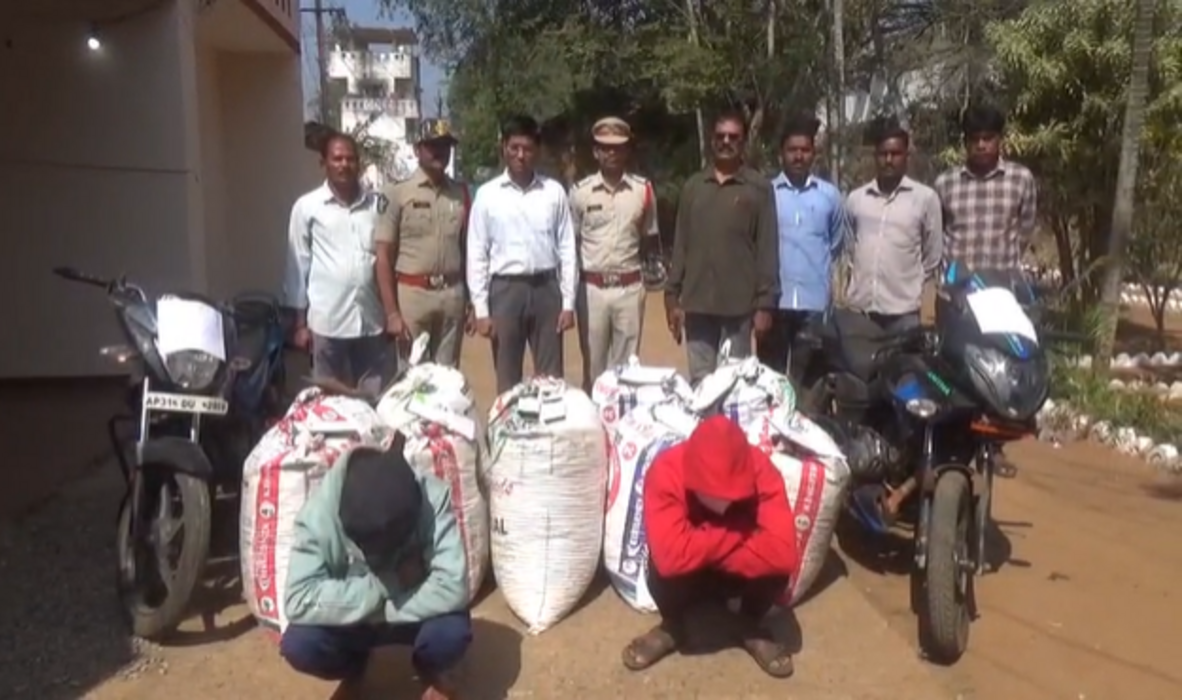 308 kg ganja worth Rs 1.51 crore seized in Chintapalli sub-division