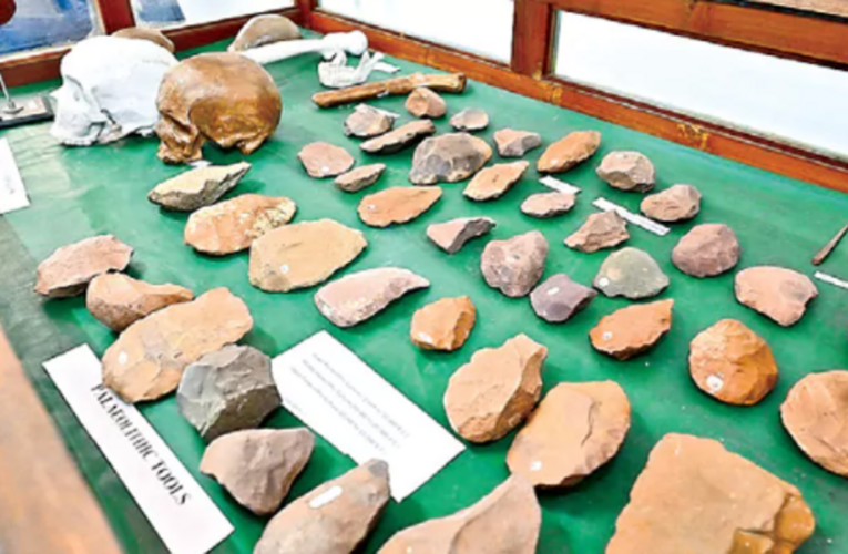 Andhra University Museum Brings Region’s Ancient Past to Life