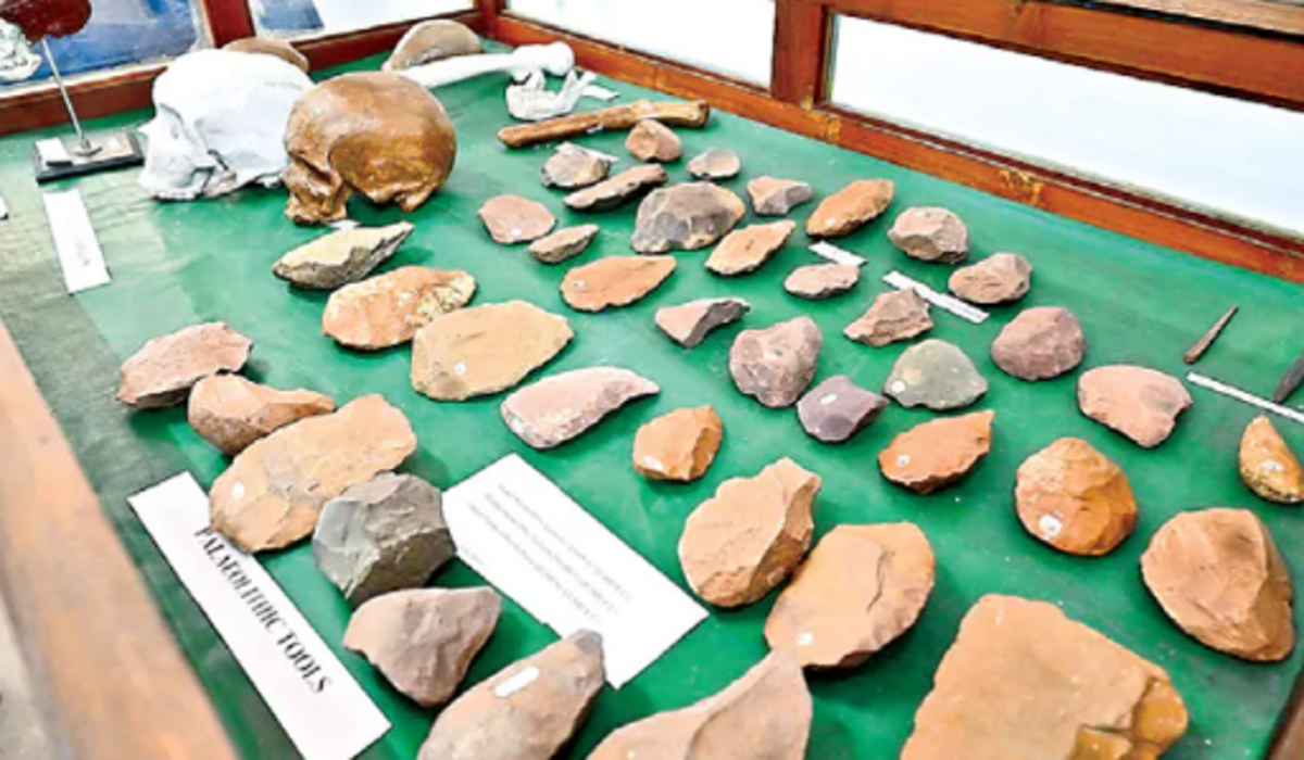 Andhra University Museum Brings Region’s Ancient Past to Life