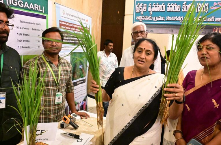 Natural Farming to Boost Farmer Income and Sustainability