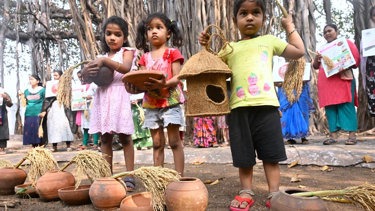 City Urged to Act as House Sparrow Numbers Fall Sharply