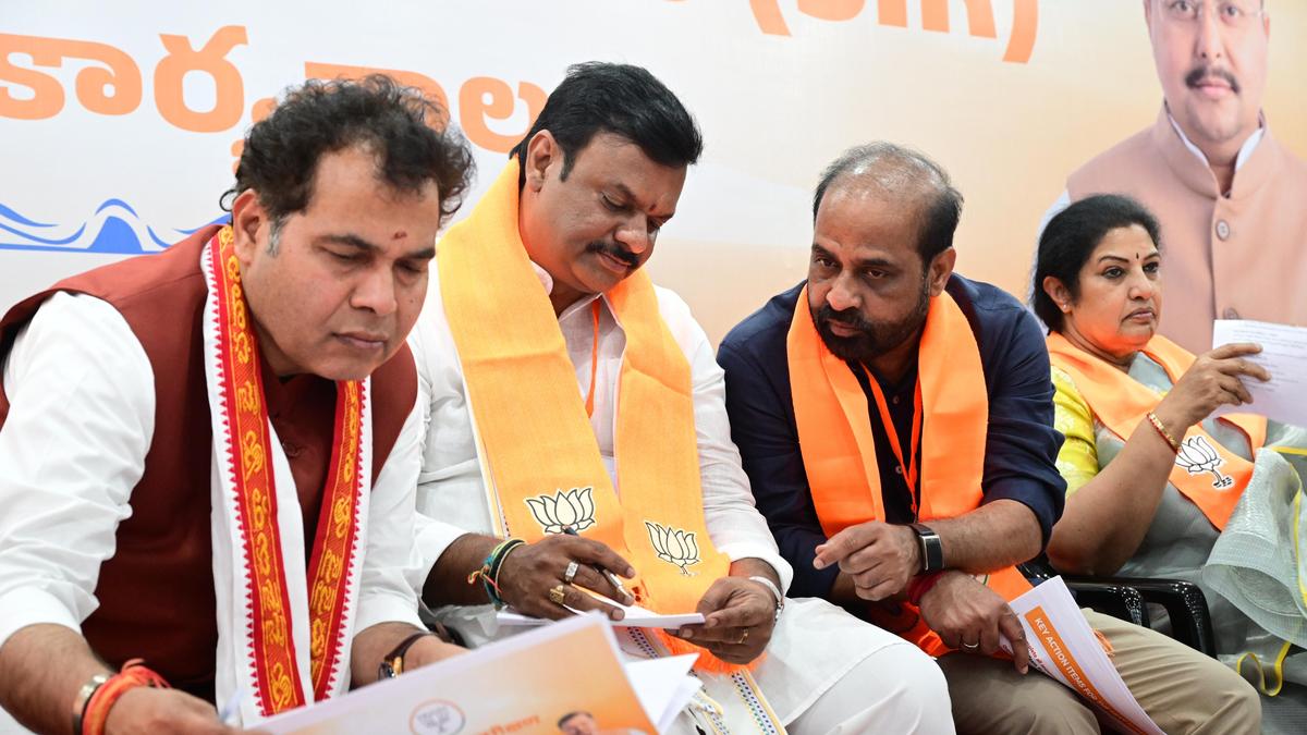 SIR exercise in vogue since 2002: P.V.N. Madhav