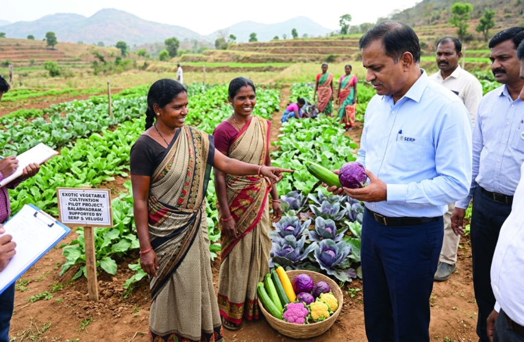 Exotic vegetable cultivation to be expanded in district with DWCRA women farmers