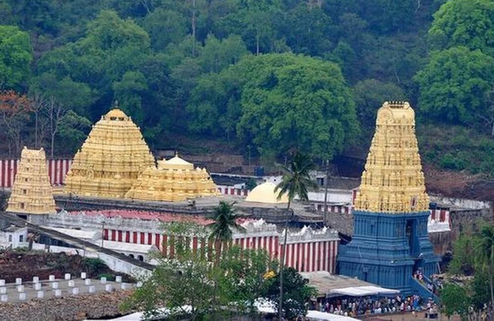 Simhachalam Chandanotsavam Tickets Face Delay, Transparency Concerns