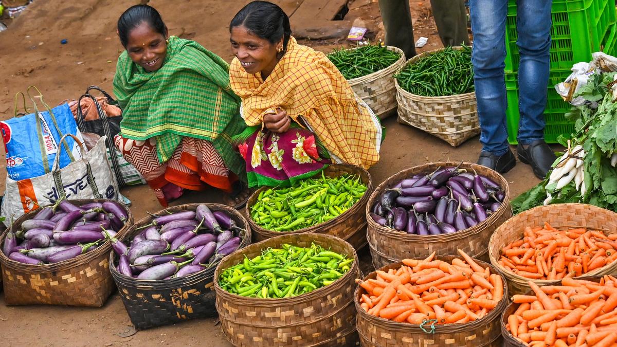 ITDA Pushes Organic Farming Market Access for Tribal Farmers