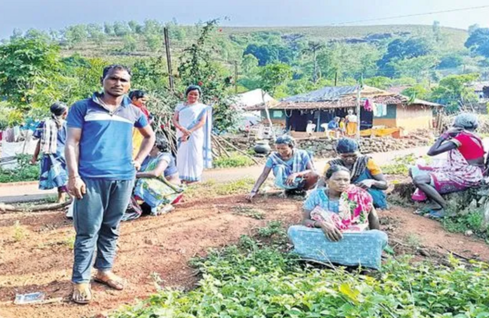 No road, ambulance delay force tribal pregnant woman to walk 2 km in labour