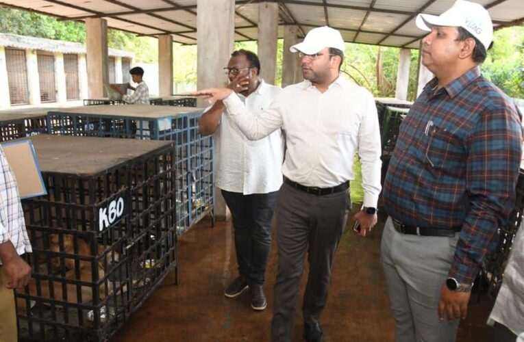 GVMC Pushes Stray Dog Sterilisation to 100 Surgeries a Day
