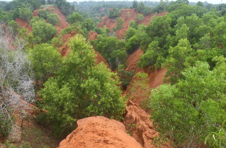 Collector reviews tourism development plans for Erra Matti Dibbalu