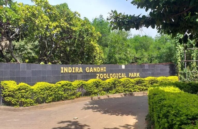 Zoo Summer Camp to Promote Conservation Awareness