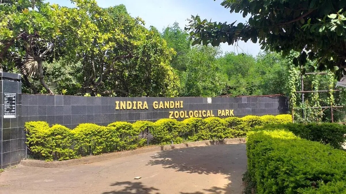 Zoo Summer Camp to Promote Conservation Awareness
