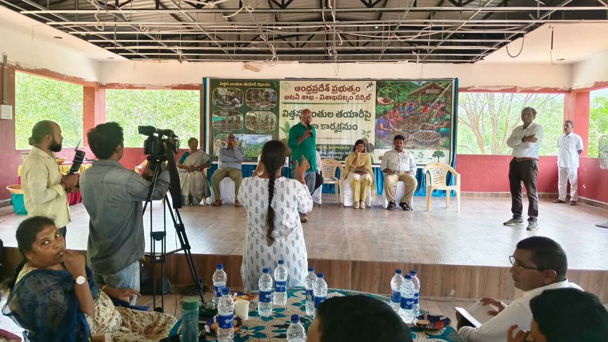 Seed Balls Key to Boosting Green Cover: Forest Chief