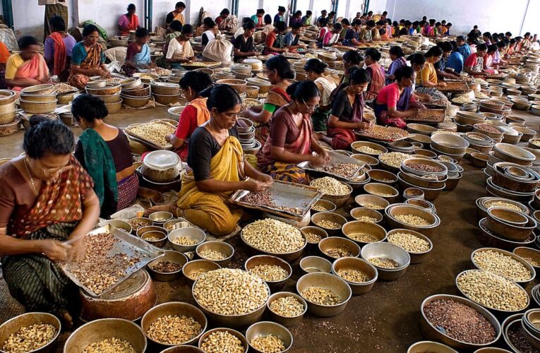 Cashew trade faces GST evasion concerns in district; revenue gap widens