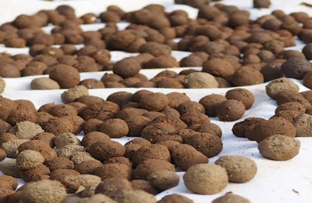 Visakhapatnam Forest Circle prepares 50 lakh seed balls for monsoon dispersal