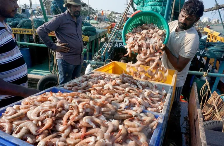 India’s seafood exports hit record ₹73,890 crore in 2025-26
