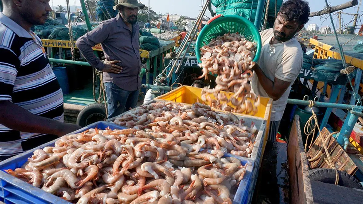 India's seafood exports hit record ₹73,890 crore in 2025-26
