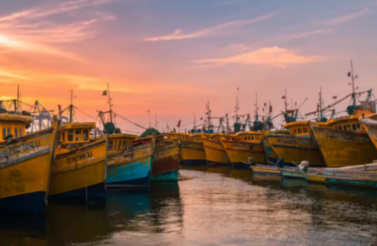 AP plans fishing safety overhaul after fatal sea accidents