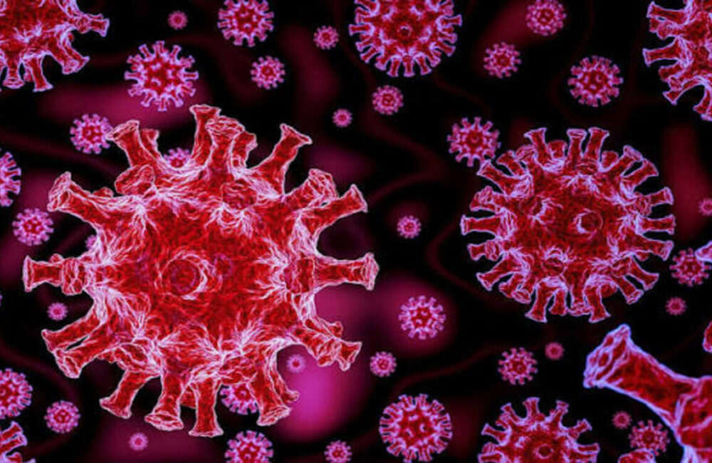 Four COVID-19 deaths reported in A.P.; genome sequencing underway