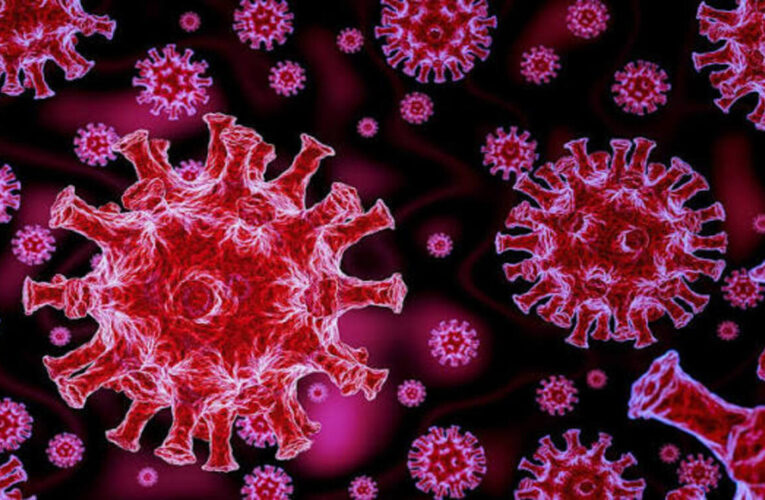 Four COVID-19 deaths reported in A.P.; genome sequencing underway