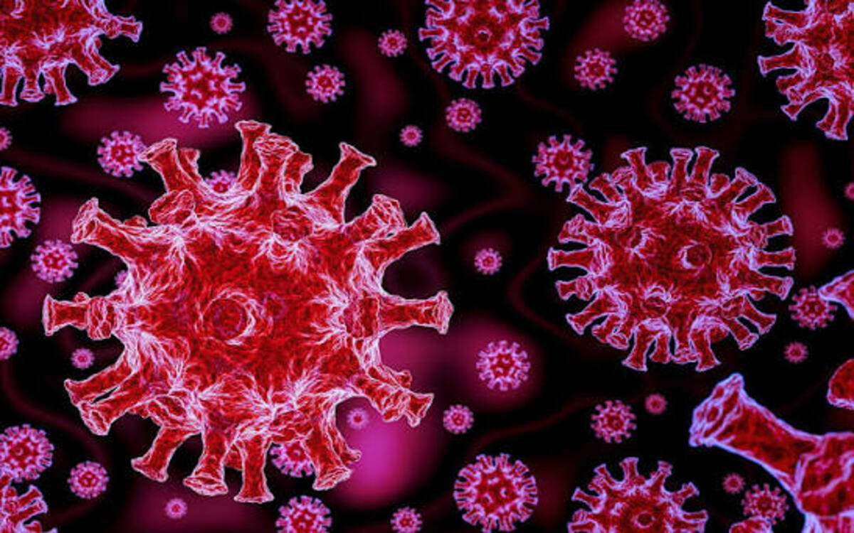 Four COVID-19 deaths reported in A.P.; genome sequencing underway