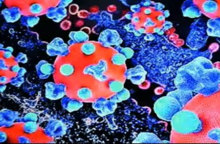 Andhra Pradesh Steps Up COVID-19 Surveillance After Fresh Cases