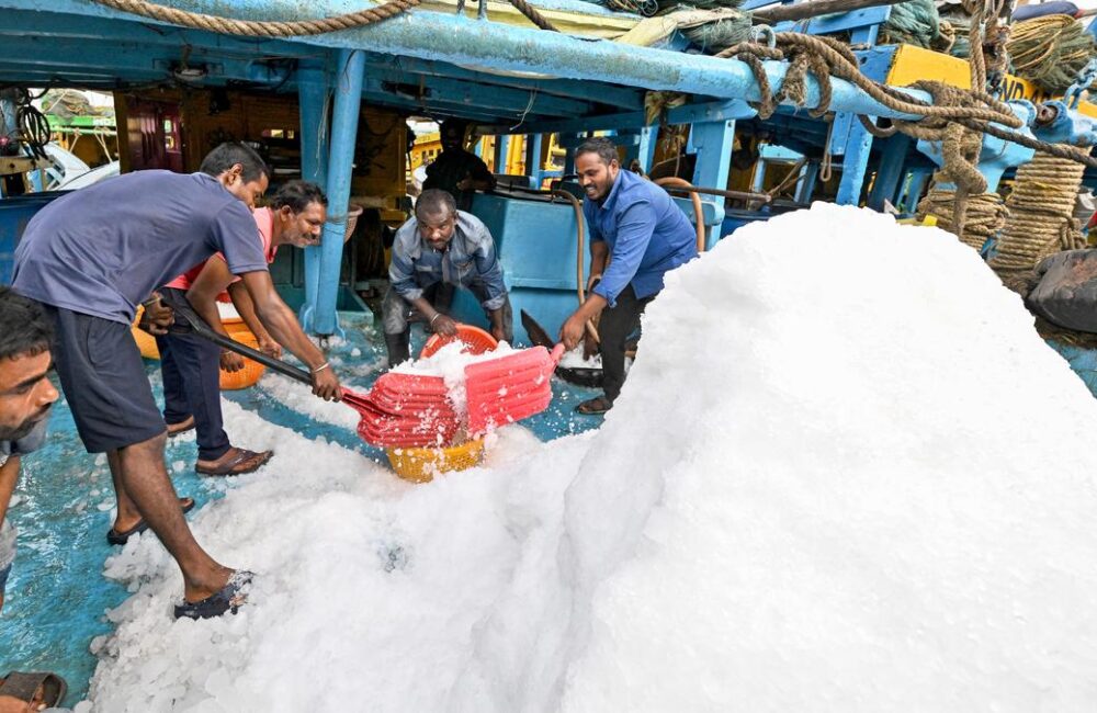 Ice shortage at Vizag fishing harbour disrupts fishing, seafood trade