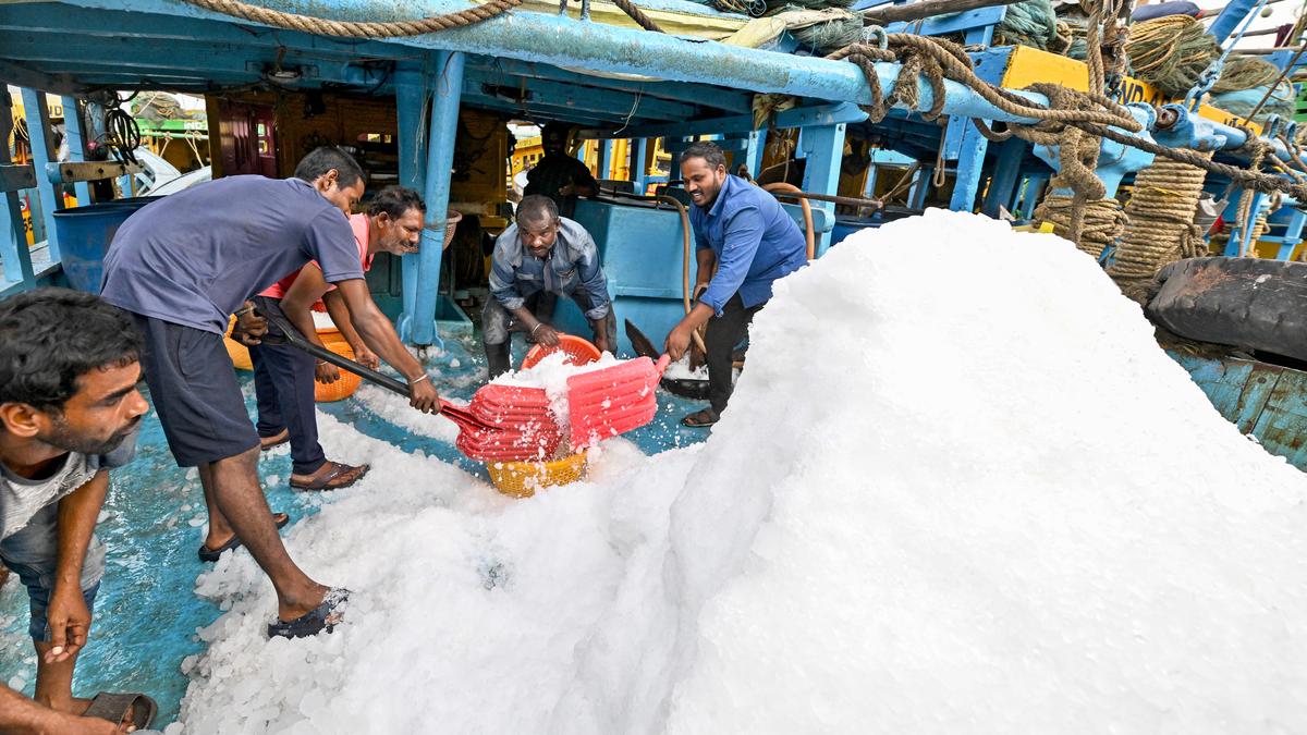 Ice shortage at Vizag fishing harbour disrupts fishing, seafood trade