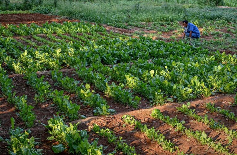 Visakhapatnam Central Prison turns waste into wealth