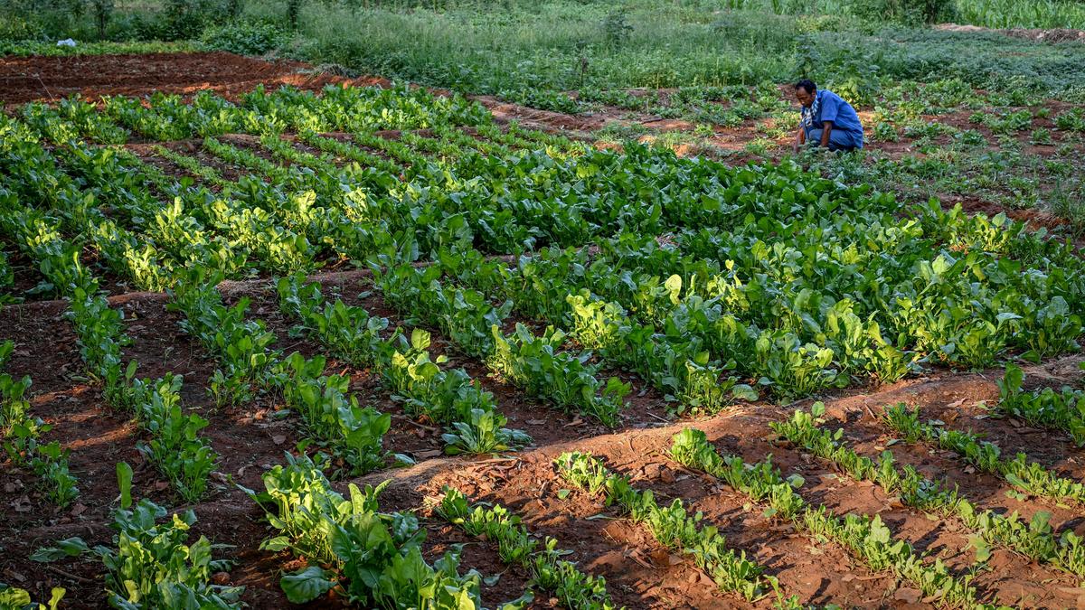 Visakhapatnam Central Prison turns waste into wealth
