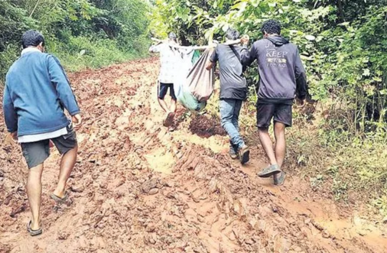 Woman carried 11 km on doli for medical care